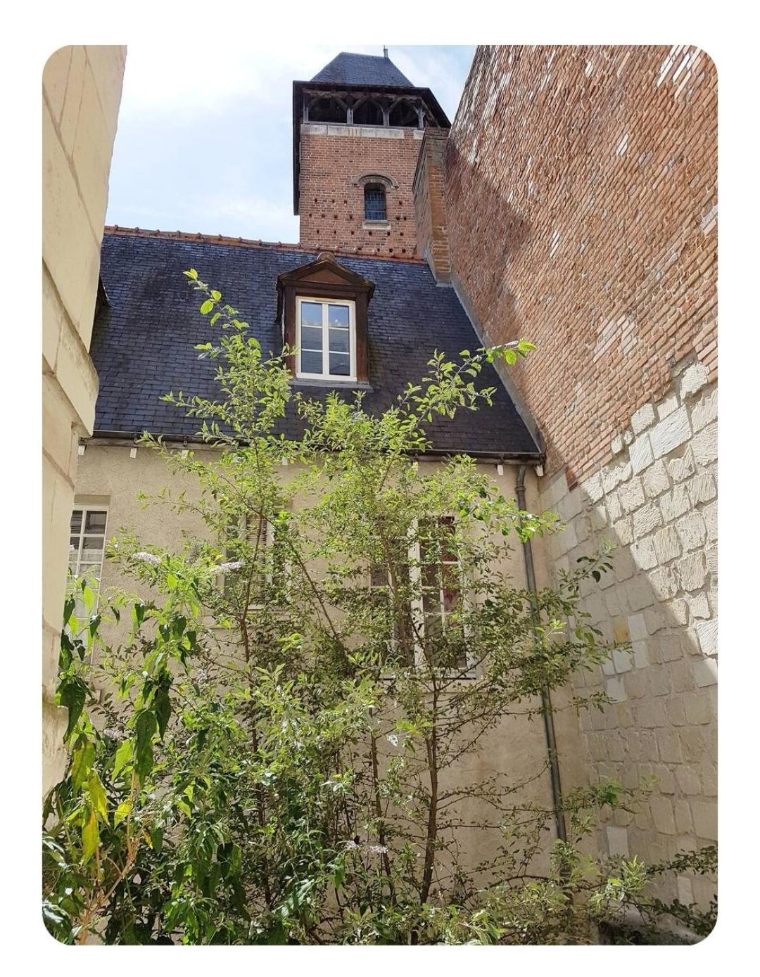 Apartmán Havre De Paix Avec Exterieur Au Coeur Du Vieux Tours Exteriér fotografie